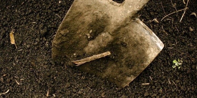 ¿El agua jabonosa es buena para cultivar semillas de césped?