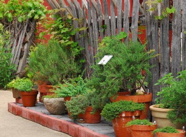 No tire las jardineras viejas y gastadas, termínelas