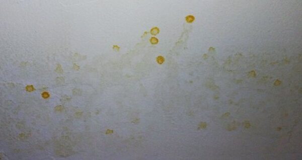 ¿Cómo arreglar las gotas amarillas en paredes y techos?