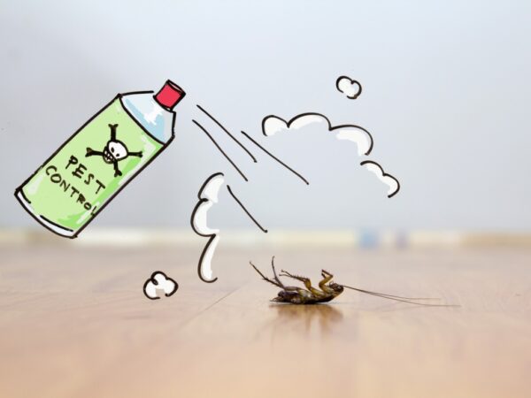 5 factores a considerar al elegir un contratista de control de plagas