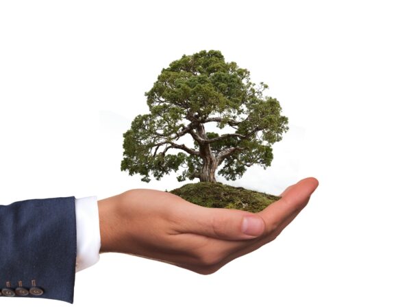 5 formas de hacer que su hogar sea más respetuoso con el medio ambiente