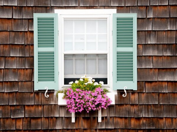 Selección de las mejores jardineras y plántulas.