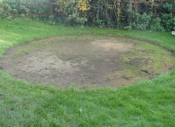 Las mejores formas de revivir el césped.