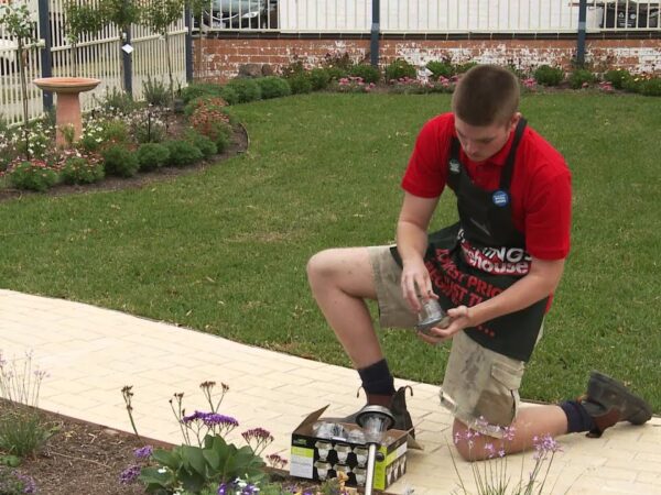 Cómo instalar lámparas solares en el jardín: Ilumina el patio durante la temporada