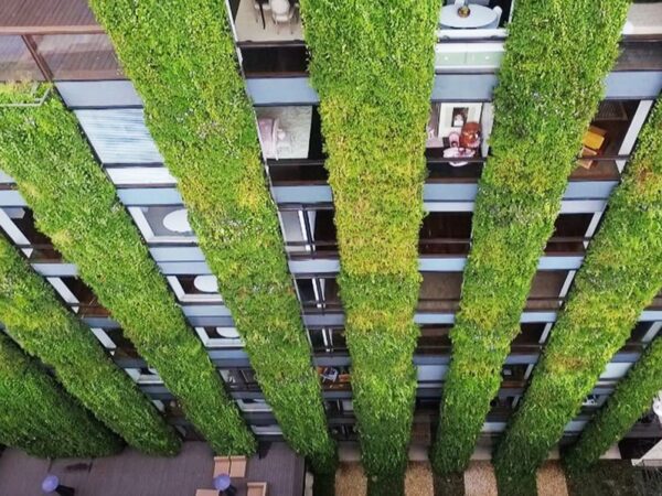 Jardines Verticales: Estrellas de Las Cocinas Modernas