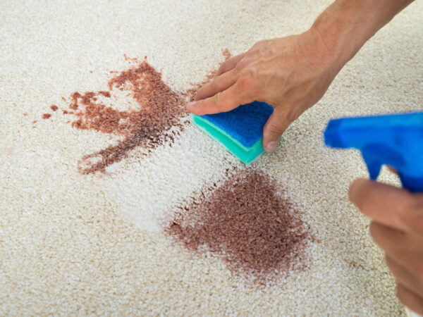 Cómo quitar las manchas de café de una alfombra