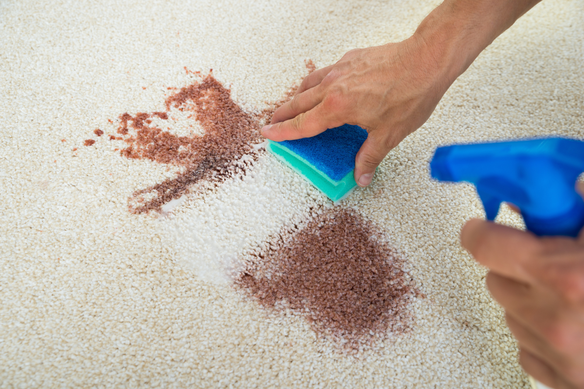 Cómo quitar las manchas de café de una alfombra