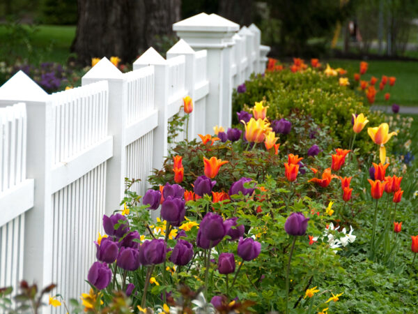 5 consideraciones importantes antes de agregar una cerca