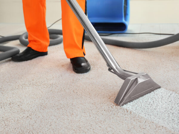 ¿Cuánto cuesta la limpieza de alfombras?  Una guía rápida