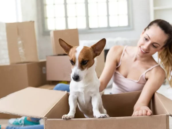¿Qué tener en cuenta antes de alquilar un apartamento que admita mascotas?