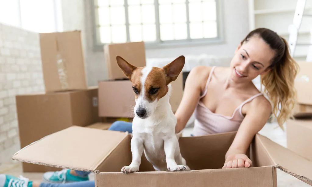 ¿Qué tener en cuenta antes de alquilar un apartamento que admita mascotas?