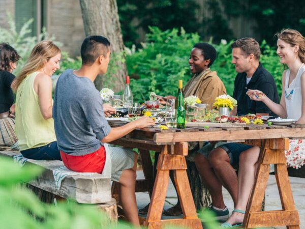 Una guía para mantener a los mosquitos alejados de su jardín