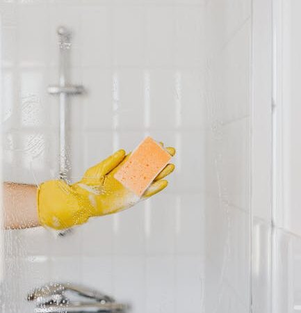 Cómo limpiar un baño profesionalmente